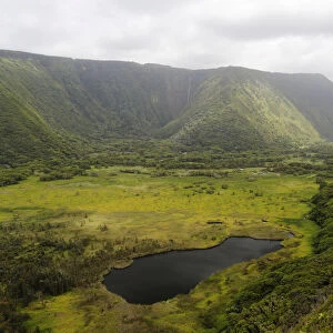 View from the hiking trail to Waipio Valley, Big Island, Hawaii, USA