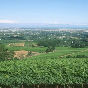 Images Dated 2006 December: 12 Dec 2006