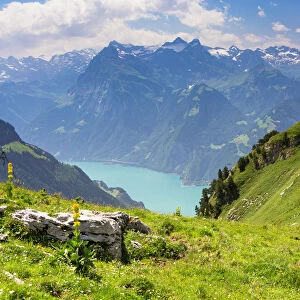 View of Lake Lucerne seen from Fronalpstock mountain, Stoos, Morschach, canton of Schwyz, Switzerland