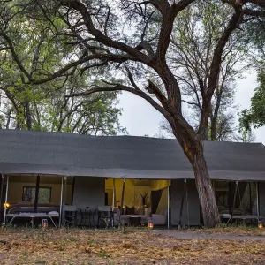 View into luxury family tent, Machaba Camp, Okavango Delta, Botswana