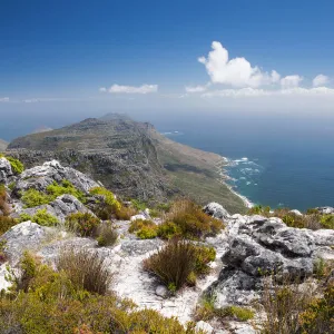 View from top of Table Mountain looking towards the Cape Peninsula showing Cape floral Fynbos and Restios. Table Mountain, Cape Town, Western Cape Province, South Africa