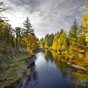 View of Thomas creek from Hannah Covered bridge