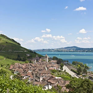 View over the vineyards on Twann village, Lake Bieler See, Canton Bern, Switzerland, Europe