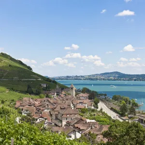 View over the vineyards on Twann village, Lake Bieler See, Canton Bern, Switzerland, Europe