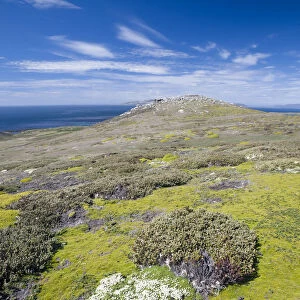 View of Westpoint Island, Westpoint Island, Falkland Islands, United Kingdom