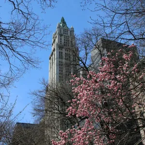 View from below of the Woolworth Building, Lower Manhattan, New York City View from below of the Woolworth Building, Lower Manhattan, New York City