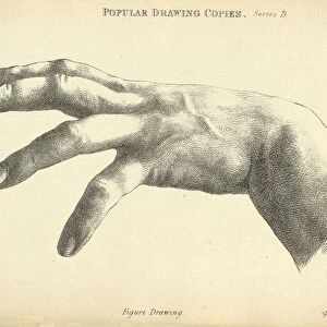 Vintage illustration of Sketching human hand with spread fingers, Victorian art figure drawing copies 19th Century