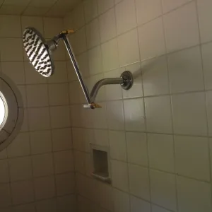 Vintage Shower Head