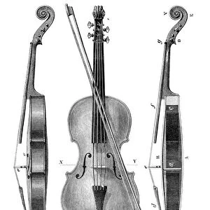 Violin engraving 1881
