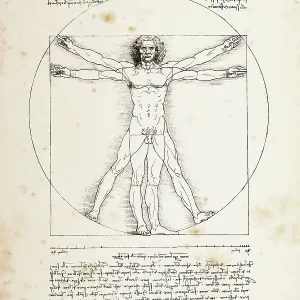 Vitruvian Man Print Vitruvian Man Print