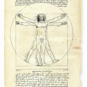 Vitruvian man painted by Leonardo da Vinci from 1492 Vitruvian man painted by Leonardo da Vinci from 1492
