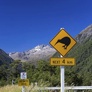 Warning sign, Kiwis next 4km at Greyneys Creek, looking towards Mt. Oates, 2041m, Canterbury Region, New Zealand