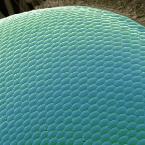 Wasp eye, SEM Wasp eye, SEM