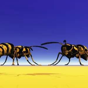 Two wasps, 3D graphics Two wasps, 3D graphics
