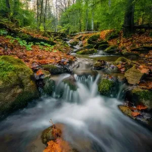 Water cascading over rocks in an autumn landscape