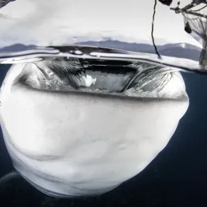 Water column Water column