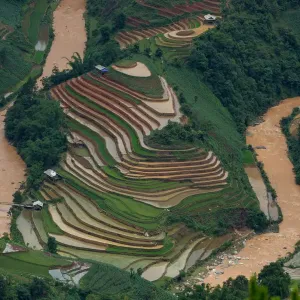 Rice Terrace Paddy Water Field Print Rice Terrace Paddy Water Field Print