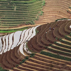 Water season in rice terrace paddies in North Vietnam