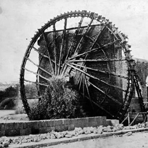 Water Wheel At Hama