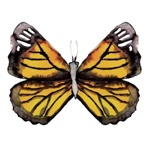 Watercolor Monarch Butterfly Print Watercolor Monarch Butterfly Print