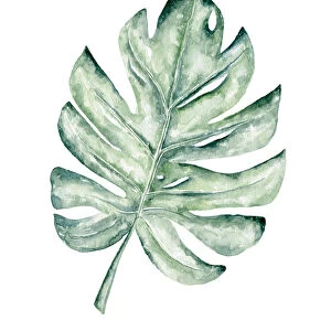 Watercolor tropical leaf