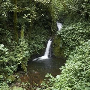 Waterfall in the Monteverde Cloud Forest Reserve, Reserva Biologica Bosque Nubosa Monteverde, Monteverde, Guanacaste Province, Costa Rica, Central America