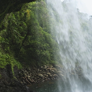 Waterfall viewed from behind
