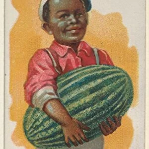 Watermelon Trade Card 1891