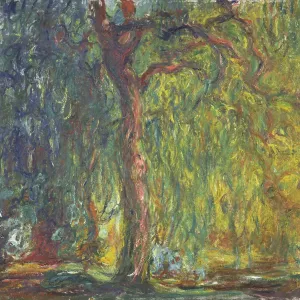 Weeping Willow. Artist: Monet, Claude (1840-1926) Weeping Willow. Artist: Monet, Claude (1840-1926)