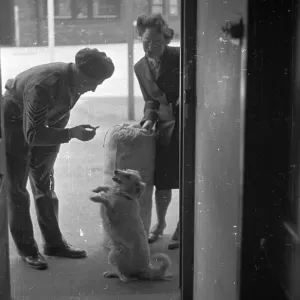 Welcome Home Dog Welcome Home Dog