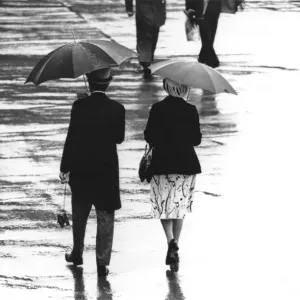 Wet Ascot Wet Ascot