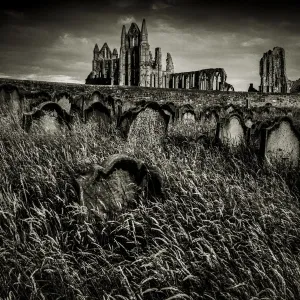 Whitby Abbey Print - A watercolour view of Whitby Abbey in North Yorkshire Whitby Abbey Print - A watercolour view of Whitby Abbey in North Yorkshire