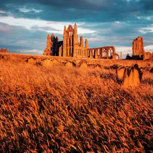 Whitby Abbey Whitby Abbey