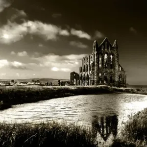 Whitby Abbey Whitby Abbey