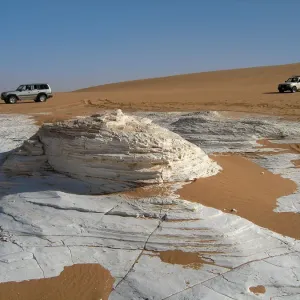 White Diatomite Field Print White Diatomite Field Print