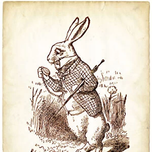 The White Rabbit from Alice in Wonderland