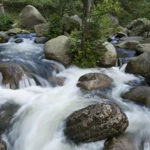 White-water river, Harz, Saxony-Anhalt, Germany, Europe White-water river, Harz, Saxony-Anhalt, Germany, Europe