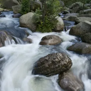 White-water river, Harz, Saxony-Anhalt, Germany, Europe White-water river, Harz, Saxony-Anhalt, Germany, Europe