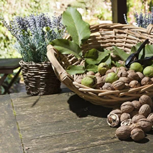 Wicker basket with walnuts -Juglans regia- on a rustic wooden table