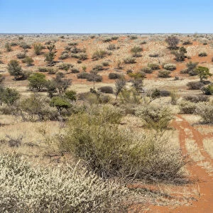 Wide landscape, Kalahari, Namibia