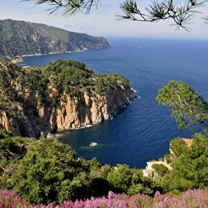 Wild coastal scenery with views of the Cap de Begur, near Begur, Costa Brava, Spain, Iberian Peninsula, Europe