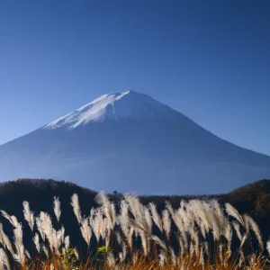 Wild grasses and Mount Fuji, Fuji-Hakone-Izu National Park, Honshu, Japan Wild grasses and Mount Fuji, Fuji-Hakone-Izu National Park, Honshu, Japan