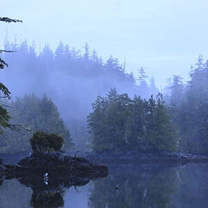 Wilderness scenery in Clam Cove near Browning Passage, Northern Vancouver Island, British Columbia, Canada