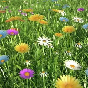 Wildflower meadow, artwork Wildflower meadow, artwork