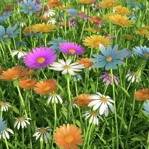 Wildflower meadow, artwork Wildflower meadow, artwork