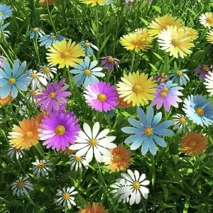 Wildflower meadow, artwork Wildflower meadow, artwork