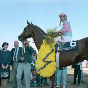 Images Dated 1987 November: 21 Nov 1987