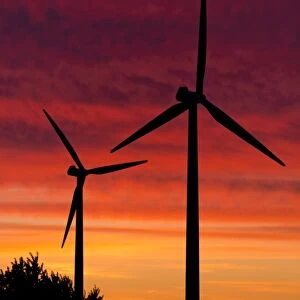 Wind turbines at sunset, Aalborg, Jutland, Denmark