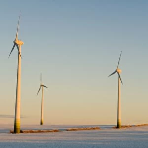 Wind turbines in winter at sunrise on a snowy field, Saxony-Anhalt, Germany, Europe