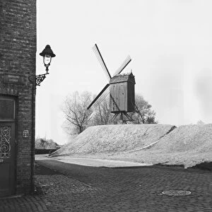Windmill At Bruges